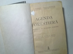 V. N. Stinghie, D. A. Sburlan - Agenda forestiera foto