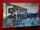 Ilustrata Cluj -Muzeul Botanic, circulat 1960