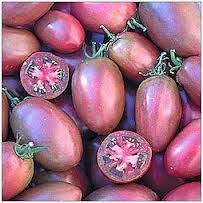 Seminte rosii movulii "Ukranian Purple" foto mare Seminte rosii movulii "Ukranian Purple" foto mare