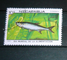 Timbru stampilat Natura Animale Pesti NICARAGUA 2+1 gratis RBK20977 foto