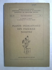 Al. Beldie, s.a. - Plante indicatoare din padurile noastre foto