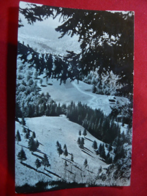 Ilustrata Peisaj pe Muntele Rosu - circulat 1967 foto