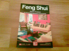 FENG SHUI -ALEXIA CINZEACA foto