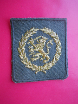 HOPCT EMBLEMA MILITARA HERALDICA D= 50/45 MM-MATERIAL TEXTIL foto