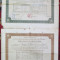 2 diplome de absolvire Scoala de fete Dorohoi Iasi regaliste 1928 1936