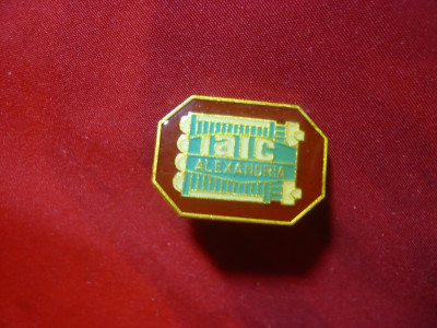 Insigna IAIC Alexandria h=2,4 cm ,metal si email foto