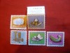 Serie Pro Patria Elvetia 1960 Minereuri , 5 valori, Nestampilat
