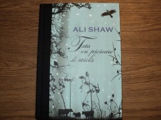 Fata cu picioare de sticla de Ali Shaw foto