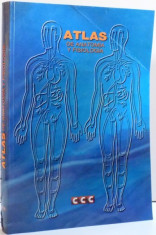 ATLAS DE ANATOMIA Y FISIOLOGIA foto