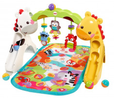 Covor de joaca copii 0-3 ani Fisher-Price Newborn-to-Toddler, ID280 foto