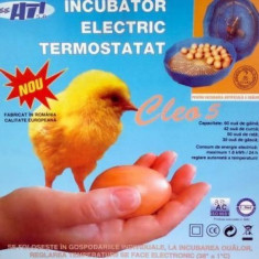 Incubator electric cu termostat foto