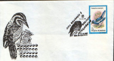 Romania-1992-Plic oc.-Ziua Mondiala a mediului 5 Iunie - Ciocanitoarea neagra foto