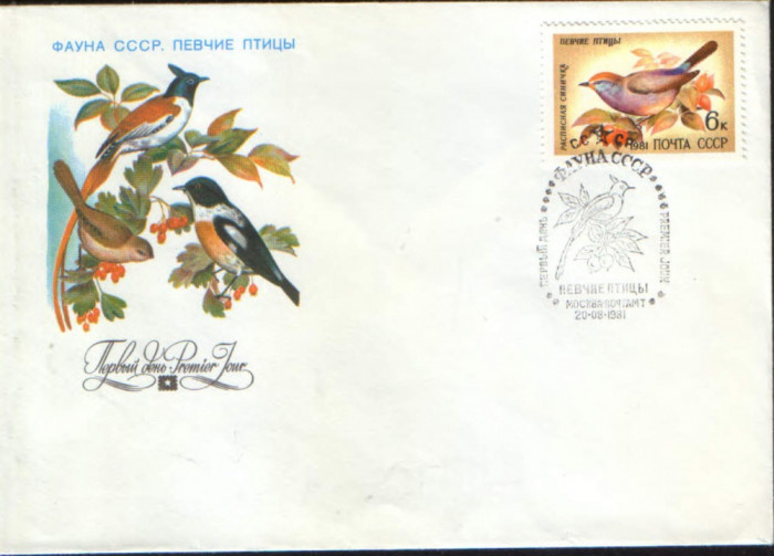 Rusia/URSS - 1981 - fdc ,Pasari cantatoare - Pitigoiul