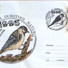 Romania - 1995-Plic oc.- Anul European al Ocrotirii Naturii - Pitigoi de livada