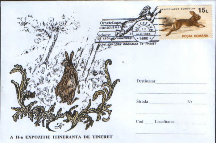 Romania - 1994-Plic oc.- Animale salbatice - Iepurele de vizuina - 2/scanuri