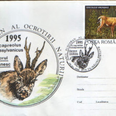 Romania - 1995-Plic oc.- Anul European al Ocrotirii Naturii - Capriorul romanesc