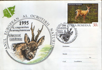 Romania - 1995-Plic oc.- Anul European al Ocrotirii Naturii - Capriorul romanesc foto