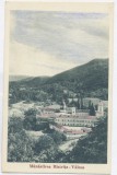 3761 - BISTRITA, Valcea, Monastery - old postcard - unused, Necirculata, Printata