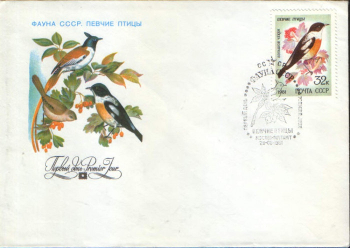 Rusia/URSS - 1981 - fdc ,Pasari cantatoare - Maracinarul