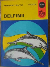 Delfinii - Modest Gutu ,392487 foto