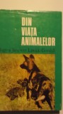 Hugo si Jane van Lawick-Goodall - Din viata animalelor