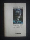 Andrei Plesu - Chipuri si masti ale tranzitiei, Humanitas