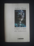 ANDREI PLESU - CHIPURI SI MASTI ALE TRANZITIEI