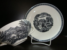 SET CANA / BOL CU FARFURIE DIN PORTELAN ENGLEZESC LUGANO OF ETRURIA WEDGWOOD foto