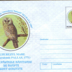 Romania - Intreg postal plic neuzat- Ornitologie - Huhurez mare,pasare rapitoare