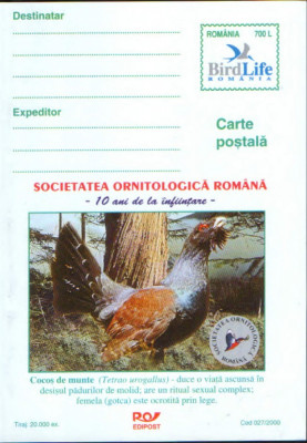Romania - Intreg postal CP neuzat - Ornitologie - Cocos de munte foto