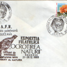 Romania - Plic oc.1989 - Ocrotirea Naturii Suceava - crepis aurea