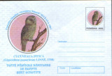 Romania - Intreg postal plic neuzat- Ornitologie-Cucuvea pitica,pasare rapitoare