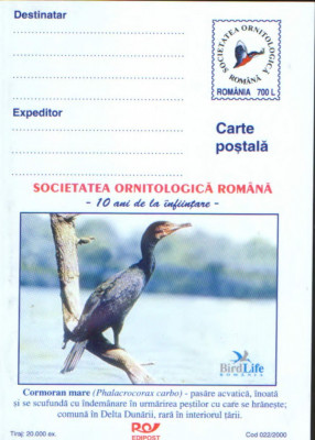 Romania - Intreg postal neuzat - Ornitologie - Cormoran mare, pasare acvatica foto