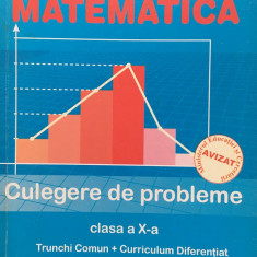 MATEMATICA CULEGERE DE PROBLEME CLASA A X-A - Burtea