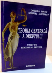 TEORIA GENERALA A DREPTULUI , CAIET DE SEMINAR SI SINTEZA de COSTICA VOICU SI GABRIEL MOINESCU , 2009 foto