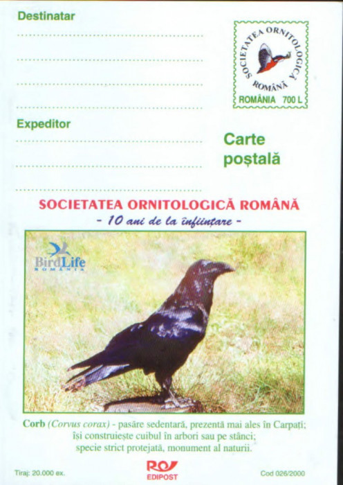 Romania - Intreg postal CP neuzat - Ornitologie - Corb , pasare sedentara