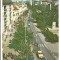 @ carte postala(ilustrata)-TARGU MURES-Piata Trandafirilor