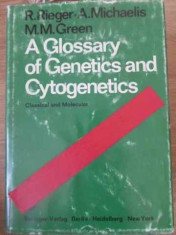 A Glossary Of Genetics And Cytogenetics Classical And Molecul - R. Rieger, A. Michaelis, M.m. Green ,392572 foto