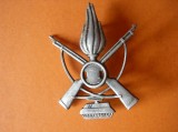 INSIGNE, INSEMN MILITAR