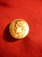 Insigna George Enescu ,bronz , d= 3 cm ,semnat G.Adac foto