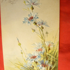 Ilustrata -Felicitare - Flori -in relief ,circulat 1905