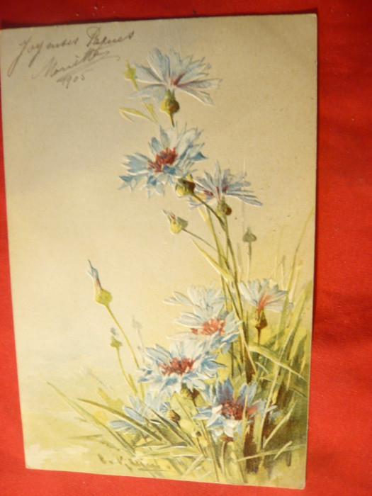 Ilustrata -Felicitare - Flori -in relief ,circulat 1905
