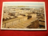 Ilustrata - Fabrica de Cherestea - Stat Washington ,interbelica SUA, Necirculata, Printata