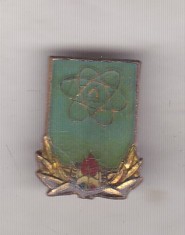 bnk ins Insigna Pionier Start spre viitor ( fara clasa )