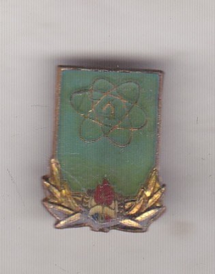 bnk ins Insigna Pionier Start spre viitor ( fara clasa ) foto