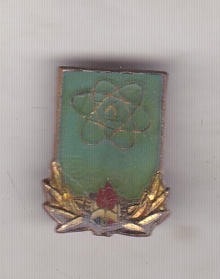 bnk ins Insigna Pionier Start spre viitor ( fara clasa )