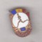 bnk ins Insigna Polisportiv II