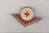 Bnk ins Insigna Pionier Sanitar - cls I, Romania de la 1950