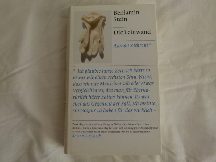 Benjamin Stein - Die Leinwand