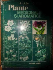 Plante Medicinale Si Aromatice - A. Laza G. Racz ,537562 foto